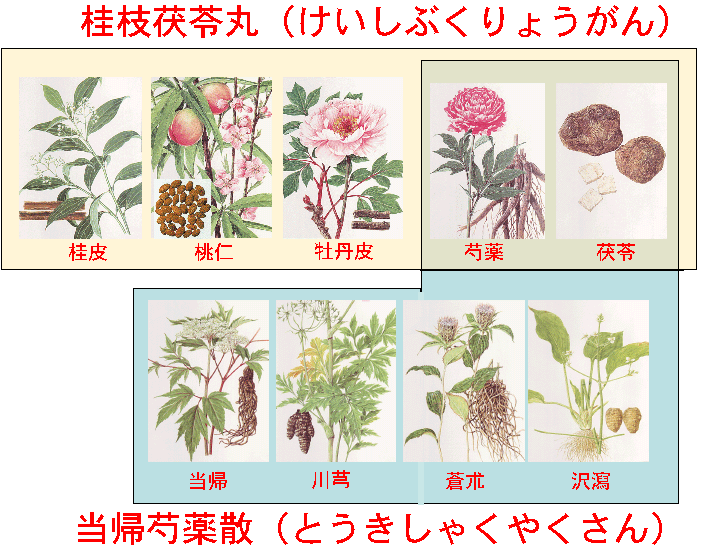 芍薬 散 帰 効果 当