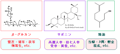 免疫力を高める生薬成分